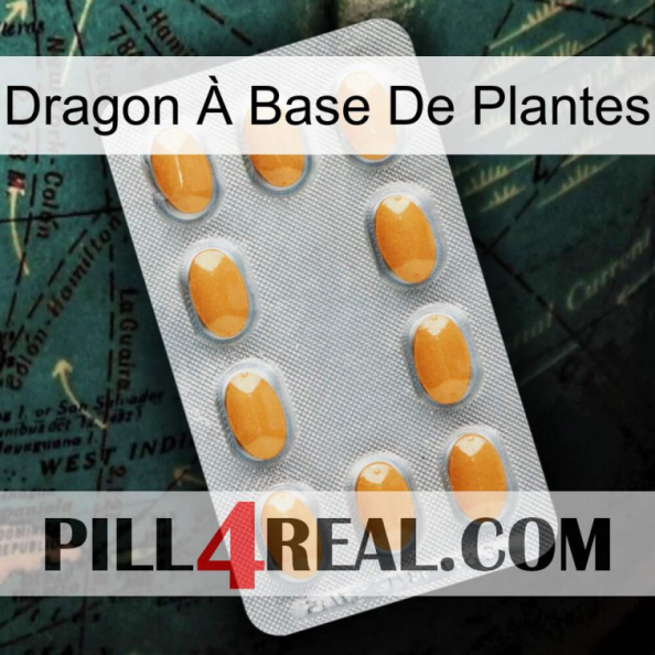 Dragon À Base De Plantes cialis3
